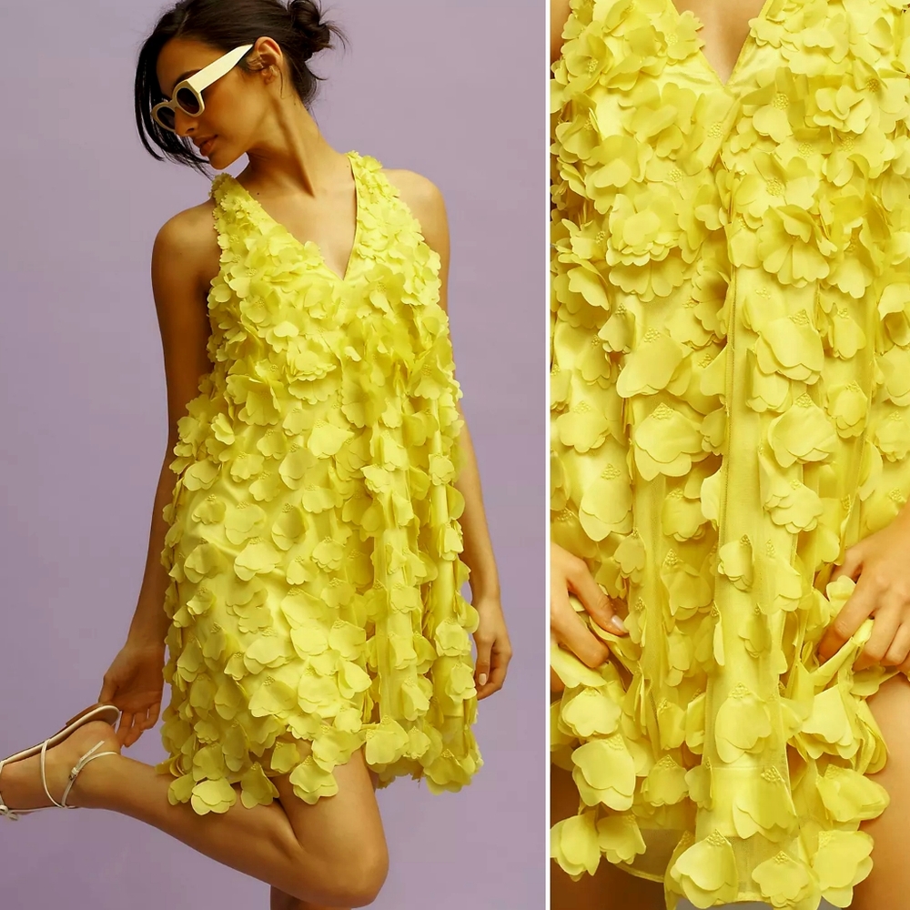 NWT, Anthropologie, Maeve Sleeveless Floral Appliqué Mini Dress - Picture 2 of 3